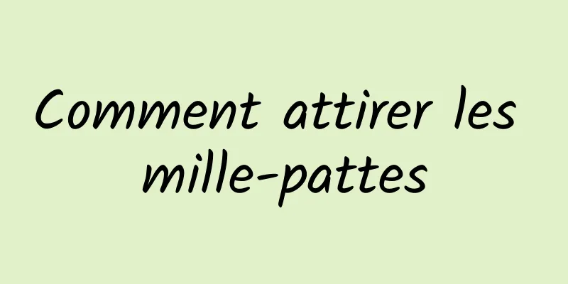 Comment attirer les mille-pattes