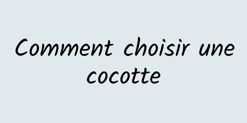 Comment choisir une cocotte 