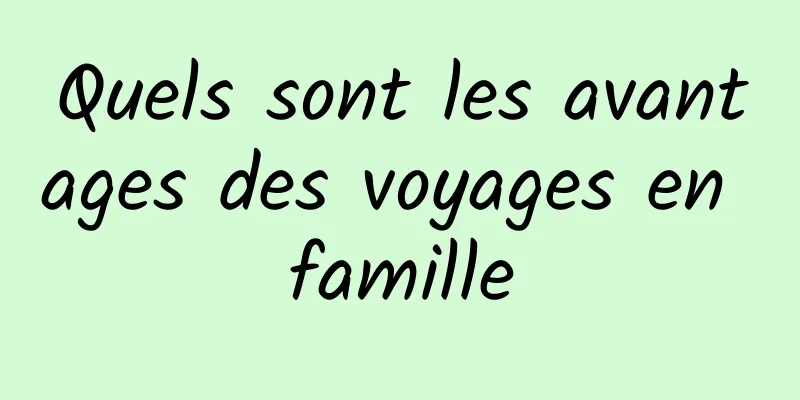 Quels sont les avantages des voyages en famille