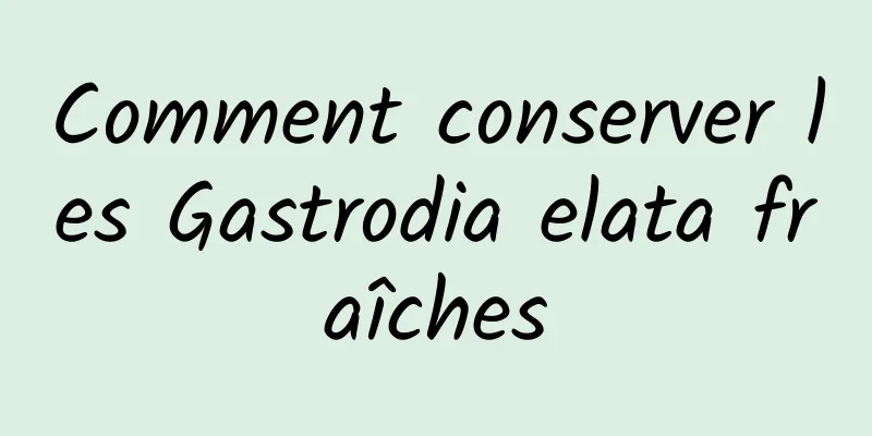 Comment conserver les Gastrodia elata fraîches