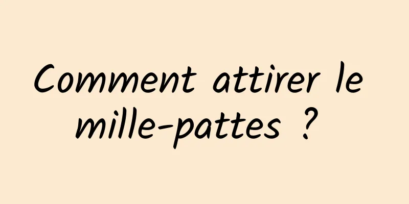 Comment attirer le mille-pattes ? 