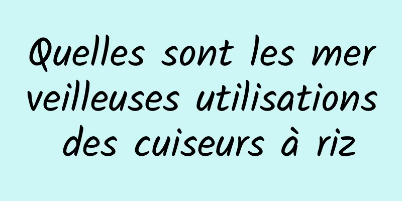 Quelles sont les merveilleuses utilisations des cuiseurs à riz