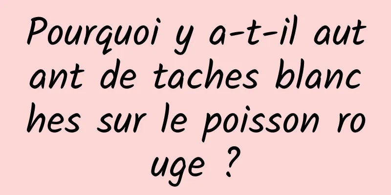 Pourquoi y a-t-il autant de taches blanches sur le poisson rouge ?