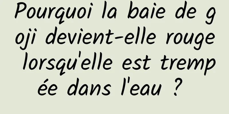 Pourquoi la baie de goji devient-elle rouge lorsqu'elle est trempée dans l'eau ? 