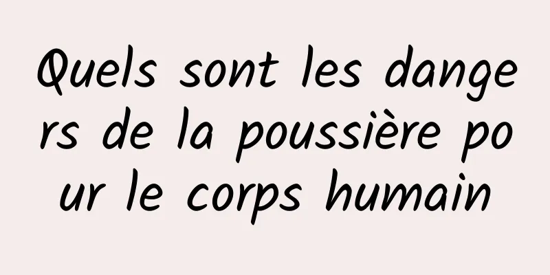 Quels sont les dangers de la poussière pour le corps humain