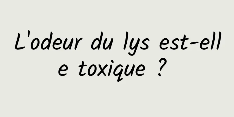 L'odeur du lys est-elle toxique ? 