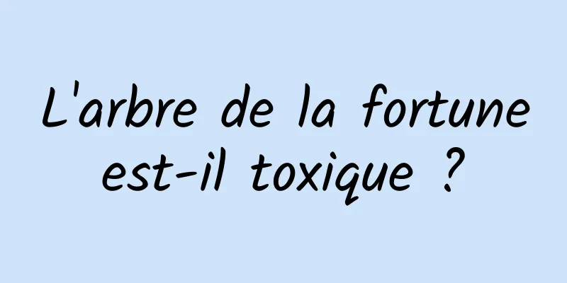 L'arbre de la fortune est-il toxique ? 