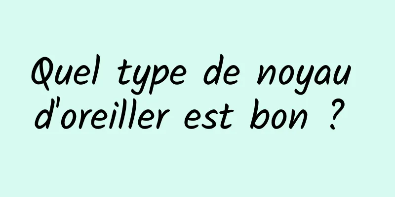 Quel type de noyau d'oreiller est bon ? 