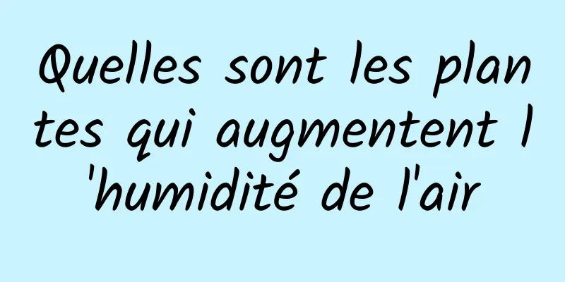 Quelles sont les plantes qui augmentent l'humidité de l'air