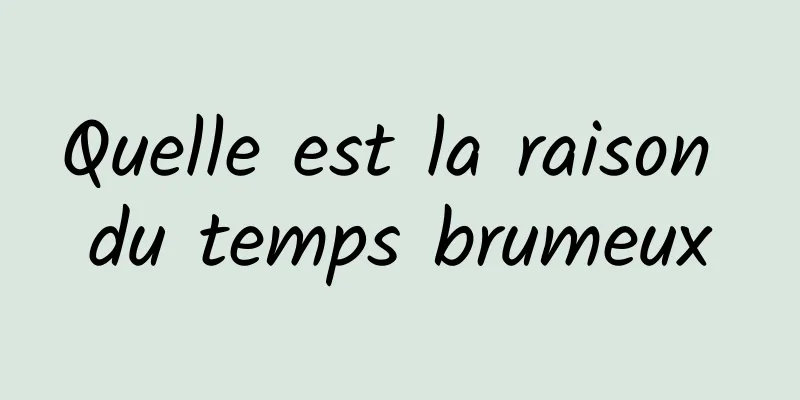 Quelle est la raison du temps brumeux