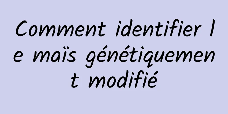 Comment identifier le maïs génétiquement modifié