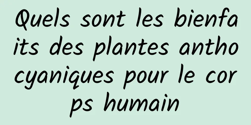 Quels sont les bienfaits des plantes anthocyaniques pour le corps humain