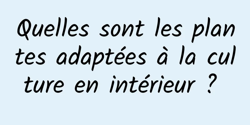 Quelles sont les plantes adaptées à la culture en intérieur ? 