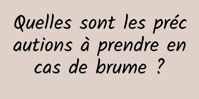 Quelles sont les précautions à prendre en cas de brume ? 