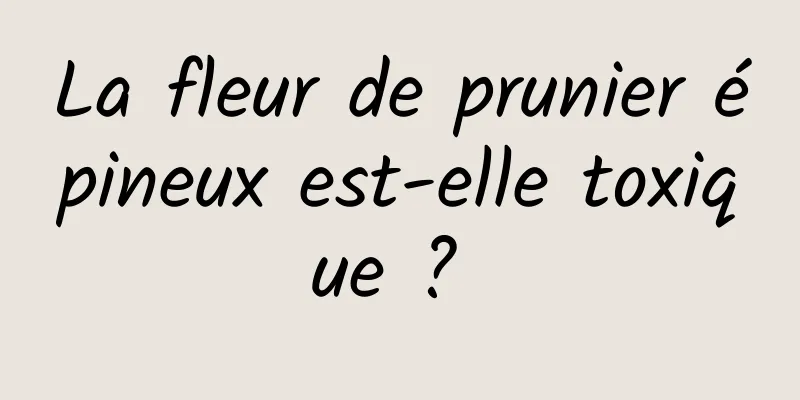 La fleur de prunier épineux est-elle toxique ? 