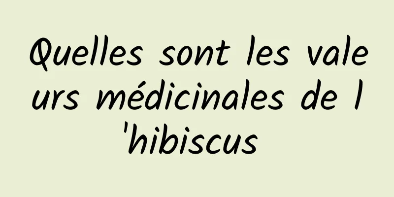 Quelles sont les valeurs médicinales de l'hibiscus 