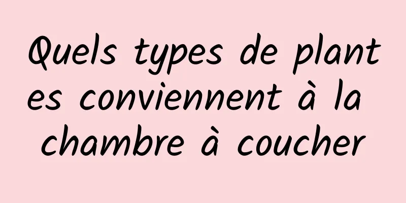 Quels types de plantes conviennent à la chambre à coucher