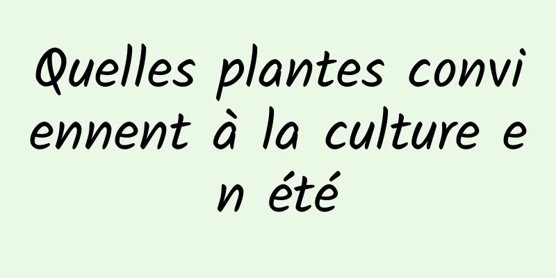 Quelles plantes conviennent à la culture en été