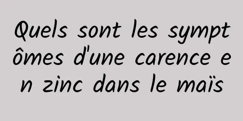 Quels sont les symptômes d'une carence en zinc dans le maïs