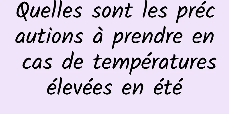 Quelles sont les précautions à prendre en cas de températures élevées en été 