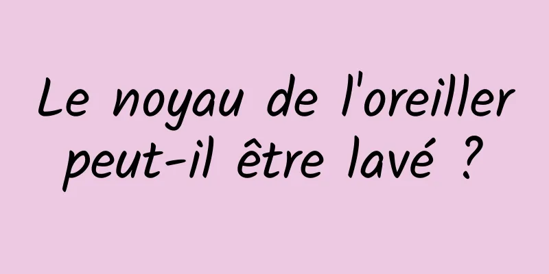 Le noyau de l'oreiller peut-il être lavé ? 