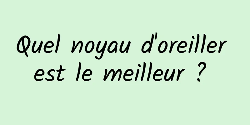 Quel noyau d'oreiller est le meilleur ? 