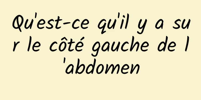 Qu'est-ce qu'il y a sur le côté gauche de l'abdomen