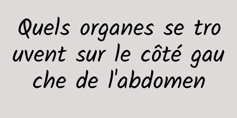 Quels organes se trouvent sur le côté gauche de l'abdomen