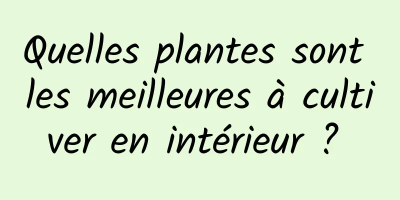 Quelles plantes sont les meilleures à cultiver en intérieur ? 