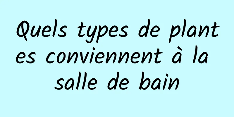 Quels types de plantes conviennent à la salle de bain