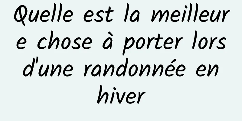 Quelle est la meilleure chose à porter lors d'une randonnée en hiver