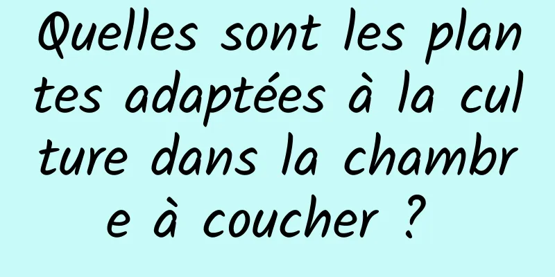 Quelles sont les plantes adaptées à la culture dans la chambre à coucher ? 