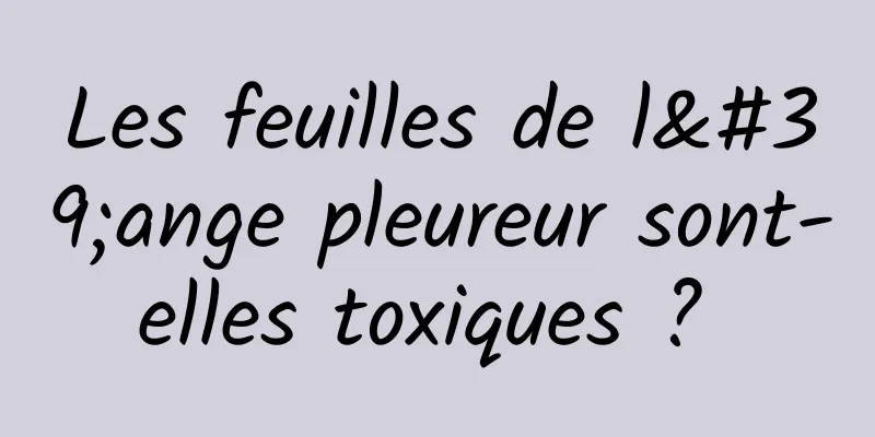 Les feuilles de l'ange pleureur sont-elles toxiques ? 