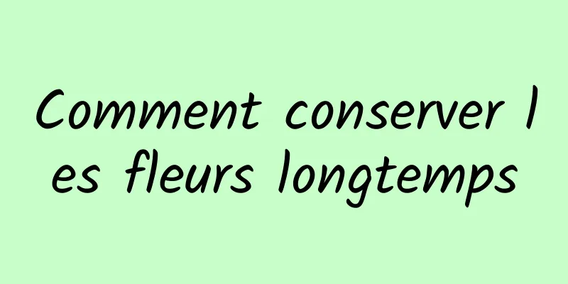 Comment conserver les fleurs longtemps