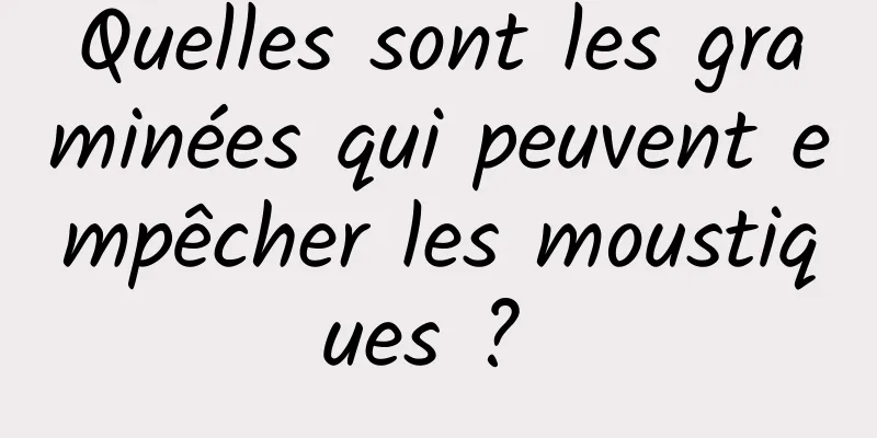 Quelles sont les graminées qui peuvent empêcher les moustiques ? 