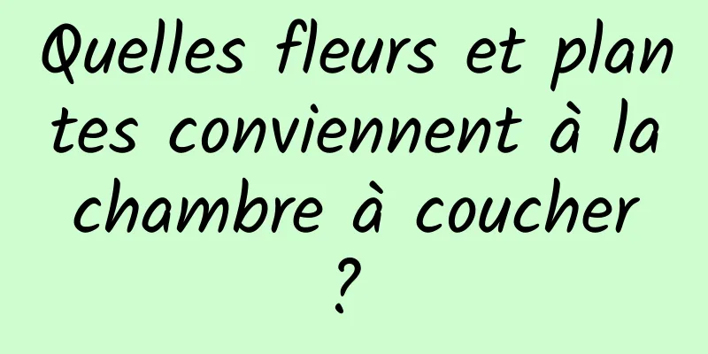 Quelles fleurs et plantes conviennent à la chambre à coucher ? 