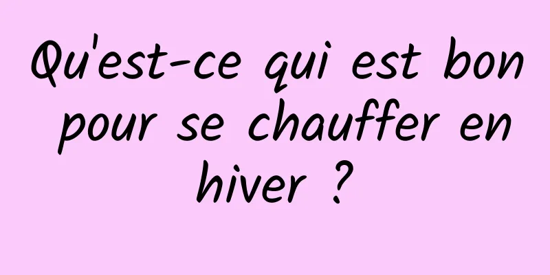 Qu'est-ce qui est bon pour se chauffer en hiver ? 