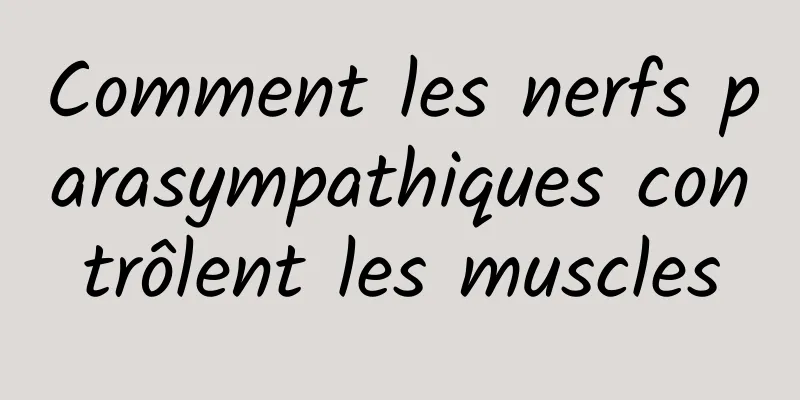 Comment les nerfs parasympathiques contrôlent les muscles