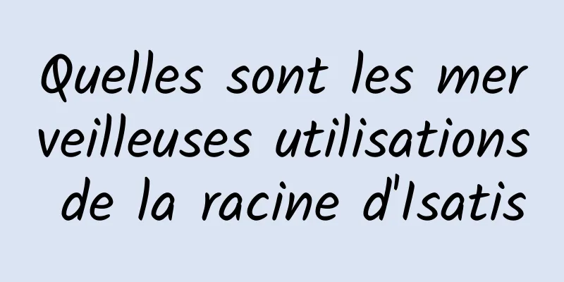 Quelles sont les merveilleuses utilisations de la racine d'Isatis