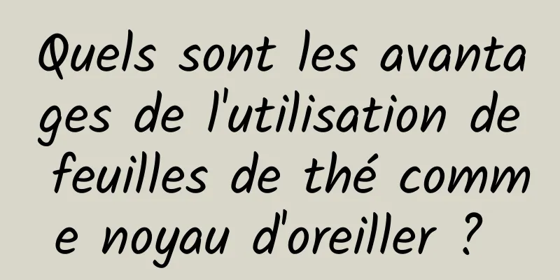 Quels sont les avantages de l'utilisation de feuilles de thé comme noyau d'oreiller ? 