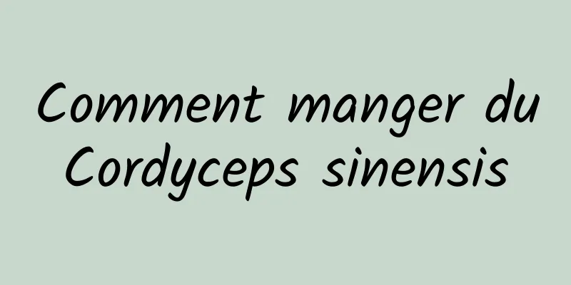 Comment manger du Cordyceps sinensis 