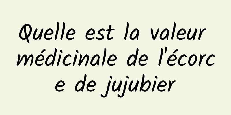 Quelle est la valeur médicinale de l'écorce de jujubier