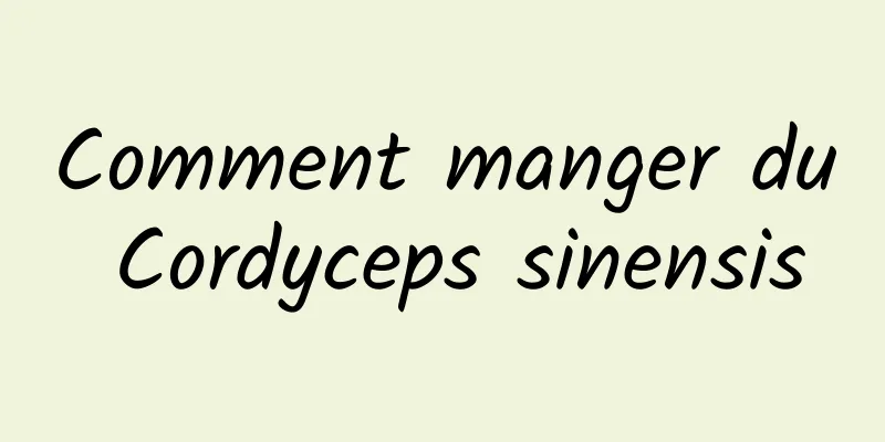 Comment manger du Cordyceps sinensis