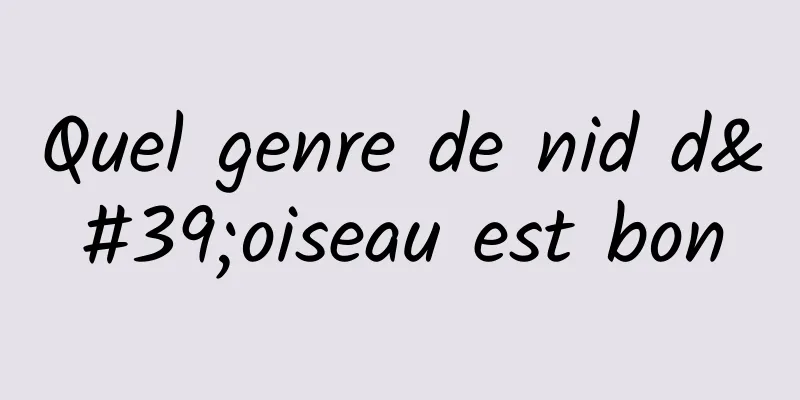 Quel genre de nid d'oiseau est bon