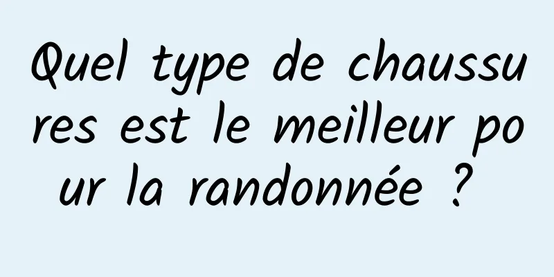 Quel type de chaussures est le meilleur pour la randonnée ? 