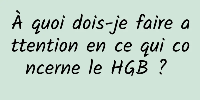 À quoi dois-je faire attention en ce qui concerne le HGB ? 