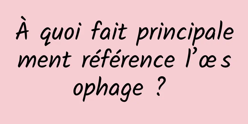 À quoi fait principalement référence l’œsophage ? 