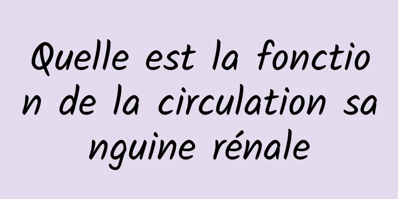 Quelle est la fonction de la circulation sanguine rénale