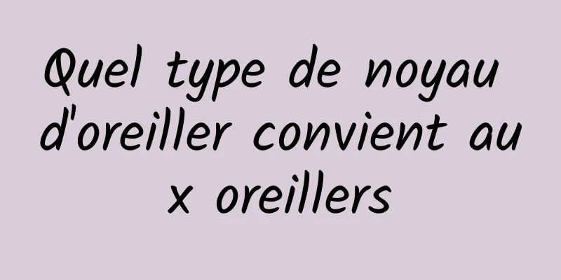 Quel type de noyau d'oreiller convient aux oreillers