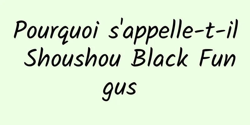 Pourquoi s'appelle-t-il Shoushou Black Fungus 